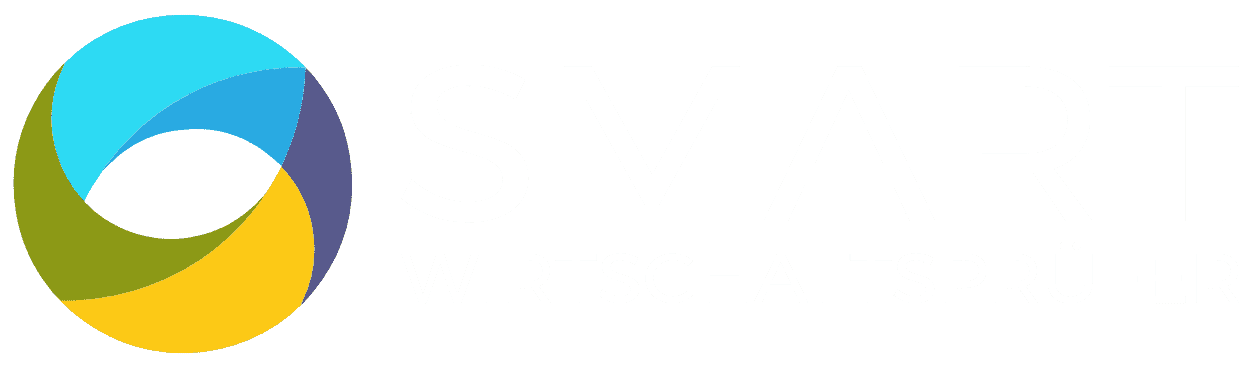 Smart Wirtschaftsprüfer